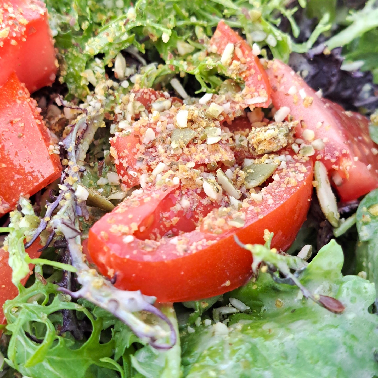 Pepita Parmesan